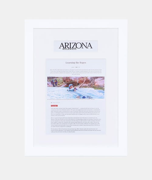 White Online article frame with headline